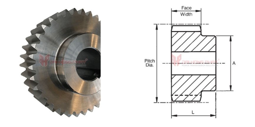 Technical drawing of the Special Sprockets for HC and SC Chains