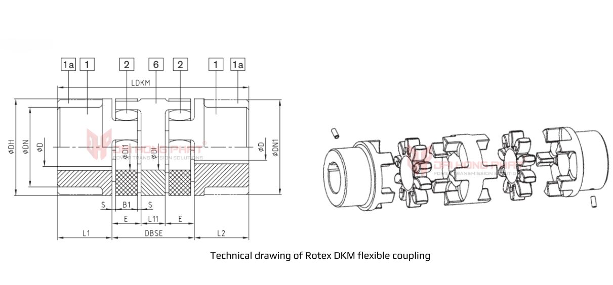rotex-dkm-flexible-coupling